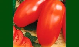 Основные характеристики