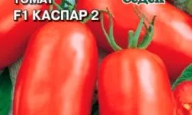 Улучшенные формы Каспара F12