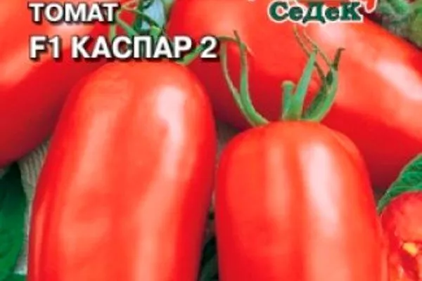 Улучшенные формы Каспара F12