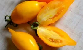 Вкус и назначение