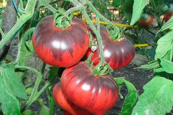 Урожайность