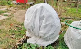 Утепление на зиму