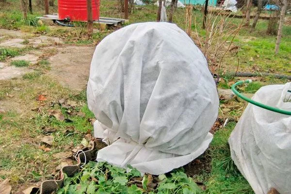 Утепление на зиму