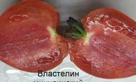 властелин-минусинский-8