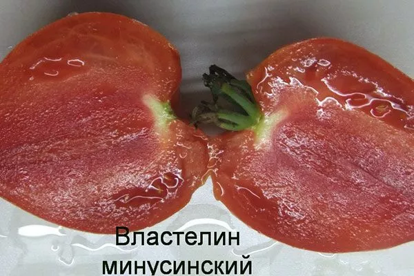 властелин-минусинский-8