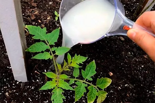 Внесение удобрений