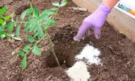 Внесение удобрений