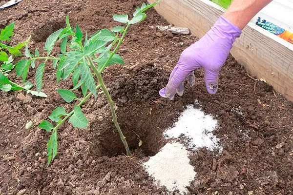 Внесение удобрений