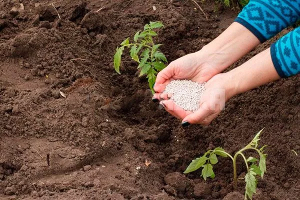 Внесение удобрений
