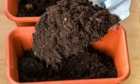 Выбор ёмкостей и грунта