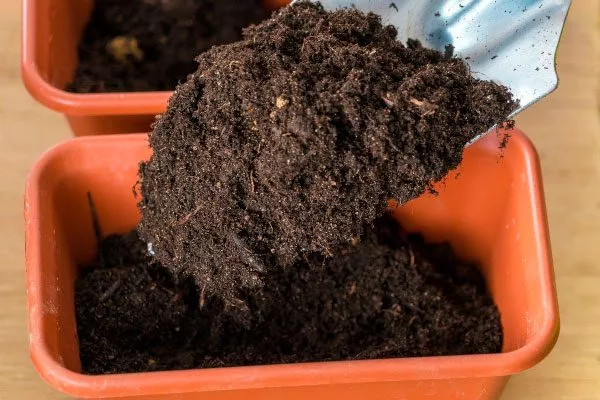 Выбор ёмкостей и грунта