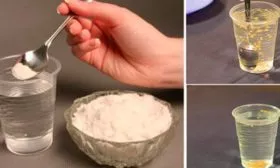 Высадка семян