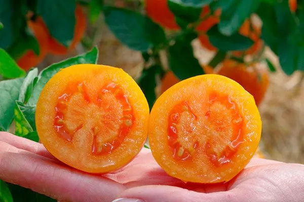 Характеристики