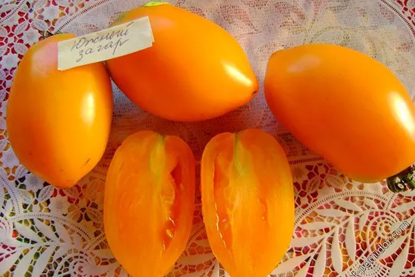 Южный загар