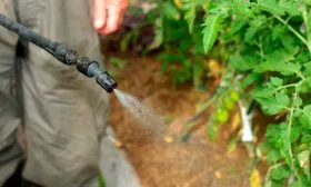 Защита от болезней, вредителей