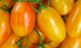 Основные характеристики