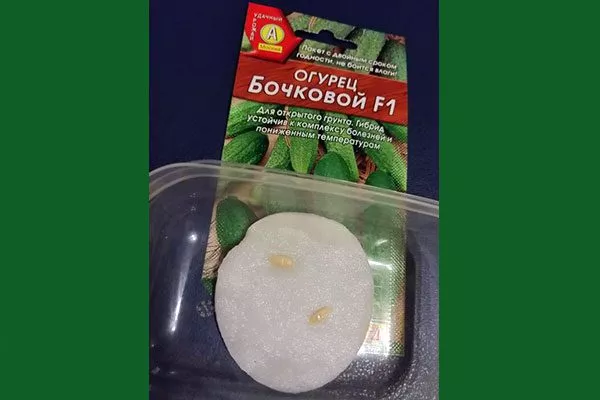 Подготовка семян