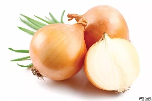 патиссон Маленький принц