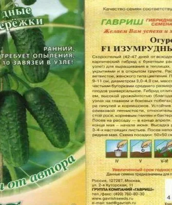 Дачник