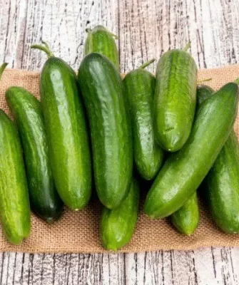 салат Афицион