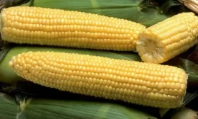 репа Миланская розовая