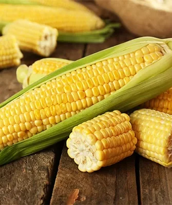 кукуруза Медовая