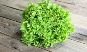 огурец Кузнечик