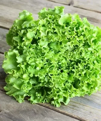 Лолло Бионда