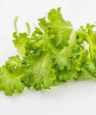 огурец Всё пучком