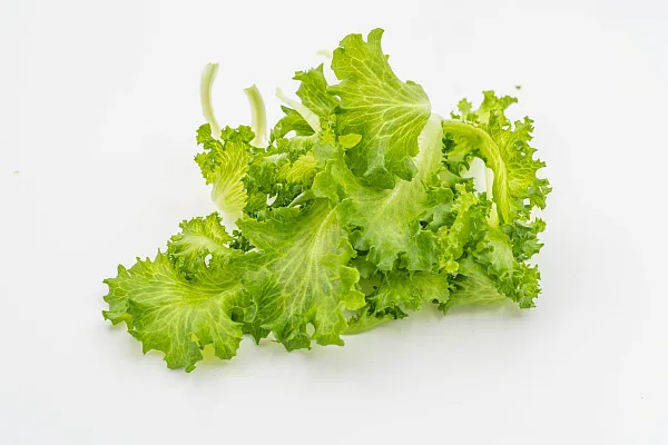 салат Фриллис