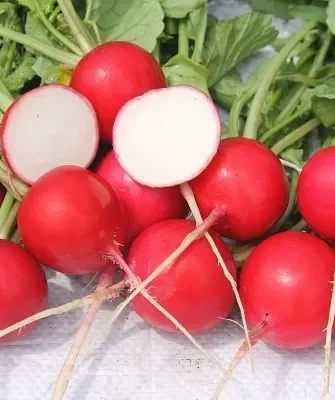 редис Всесезонный