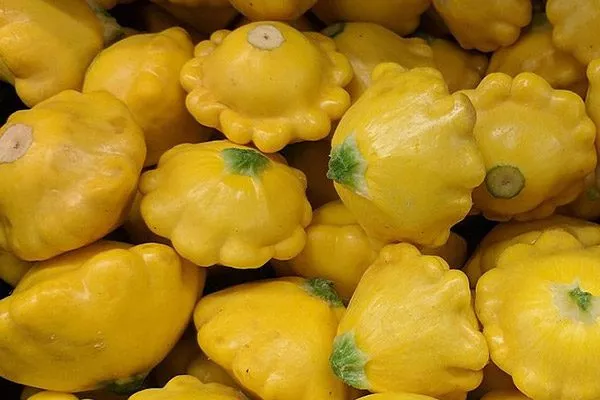 патиссоны Копейка