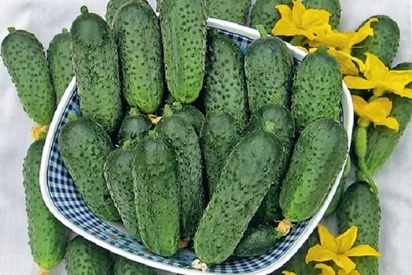 огурцы Крохотуля