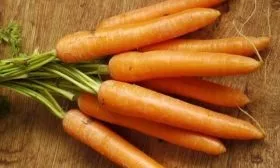 морковь сорта Лагуна