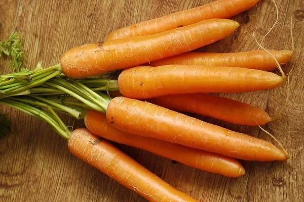морковь сорта Лагуна
