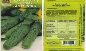 огурец Астерикс