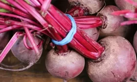 свекла Смуглянка