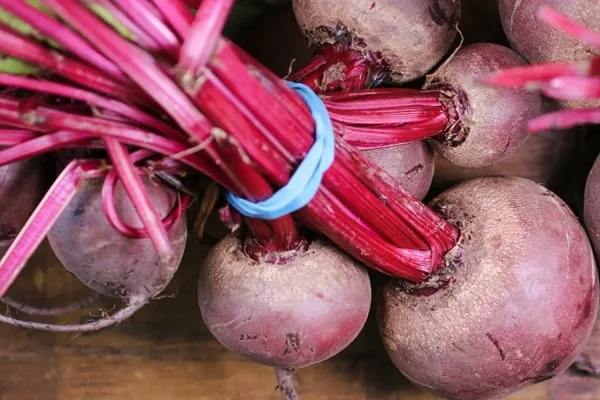 свекла Смуглянка