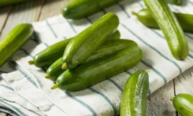 огурец Герольд