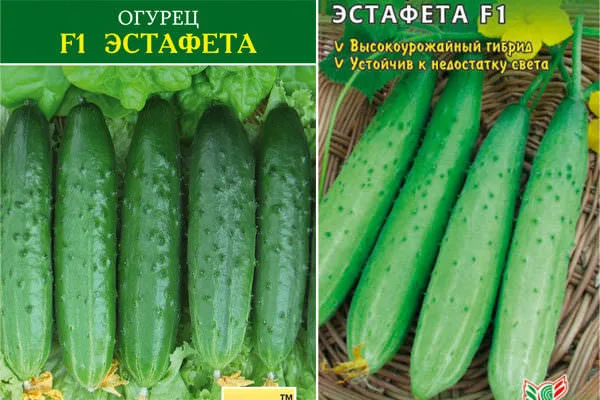 огурцы Эстафета