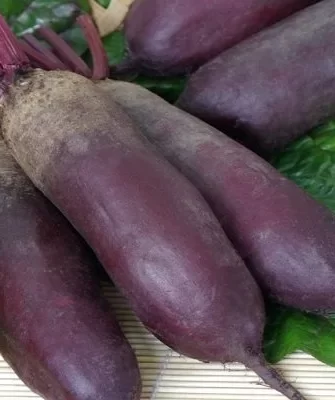 редис Черри