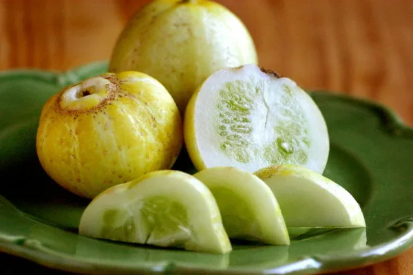 огурец Хрустальное яблоко