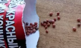 Посев редиса