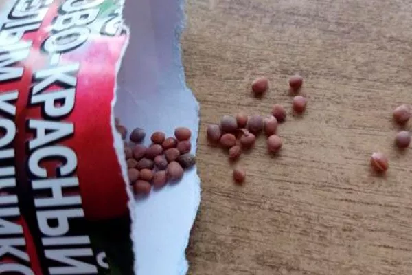 Посев редиса