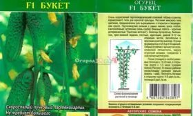 Представление о сорте