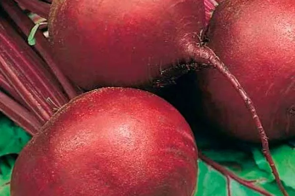 Описание внешнего вида и вкуса