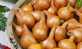 Семейный хоровод