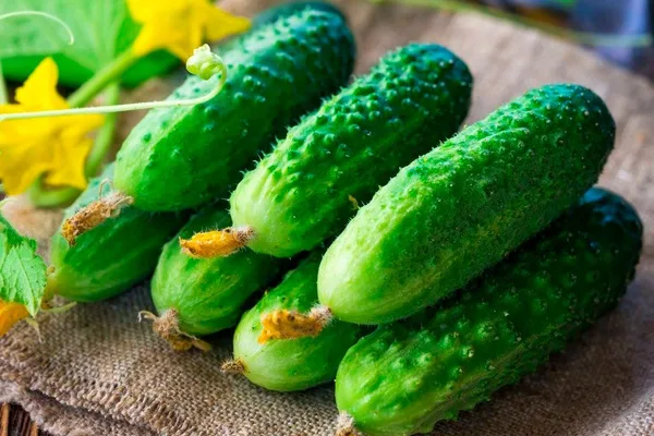 выращивание репы