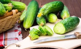 сельдерей Нежный