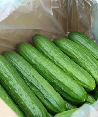 Всесезонный